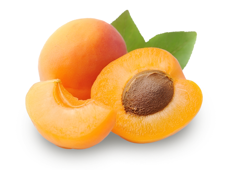 apricot